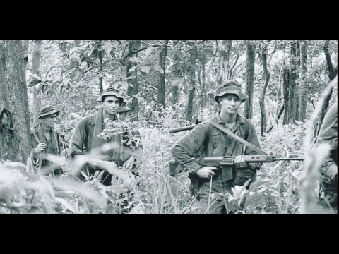 When Australia SAS Troopers Watched a US Platoon Walk Into an Ambush — And Couldn’t Warn Them