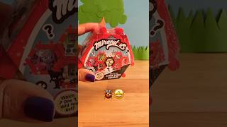Miraculous ladybug surprise 😳 #relaxing #toyunboxing #asmr