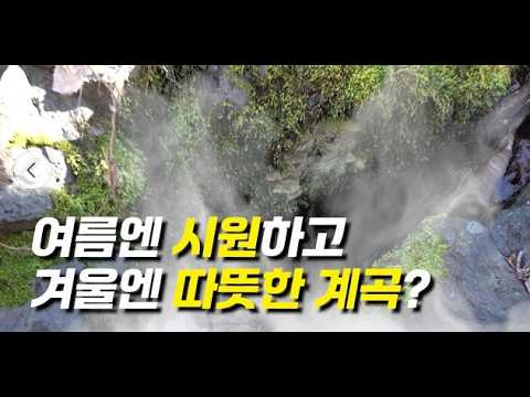 여름엔 시원하고 겨울엔 따뜻하다고?