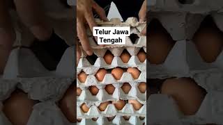 Download lagu TELUR AYAM LOKAL NEGERI || JAWA TENGAH #hargatelurhariini #telurayam #hargatelurayamrashariini mp3