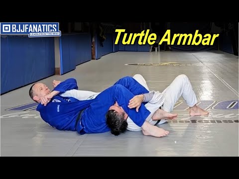 Turtle Armbar by Aaron LaPointe