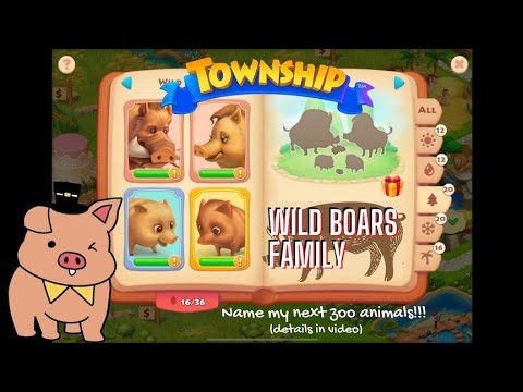 Township Zoo || Wild Boars 🐗 Unlocked & Info #31