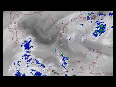 ANIMACIÓN 2021-0825-08:00pm