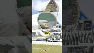 Download lagu #shorts #knowledge #airplane #machine #airport #didyouknow mp3 Download lagu #shorts #knowledge #airplane #machine #airport #didyouknow mp3