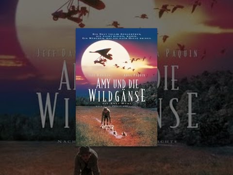 Amy und die Wildgänse
