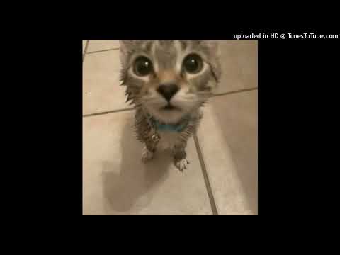 kozakpolv x skaziak x makaron x bukowski x komyczuś - młode ksero (młody zak diss) [rare]