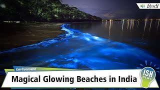 Magical Glowing Beaches in India