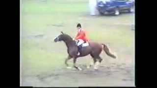Video of Dinard L