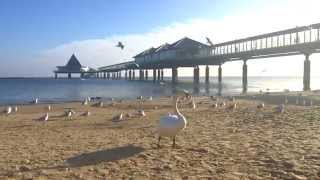 preview picture of video 'Seebad Heringsdorf auf Usedom'