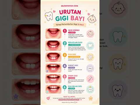 Urutan Gigi Bayi dari Gusi Merah sampai 12 Gigi — Bunda Wajib Tahu Tahapannya! #ibudanayah