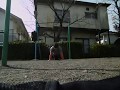 100 Push ups+20 Muscle ups 腕立て伏せ100回+マッスルアップ20回