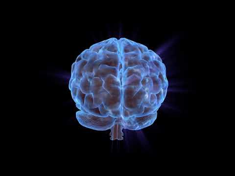 BRAIN MADMANTRA | PSYTRANCE | DARKPSY|HITECHMIX| PSYRECORD