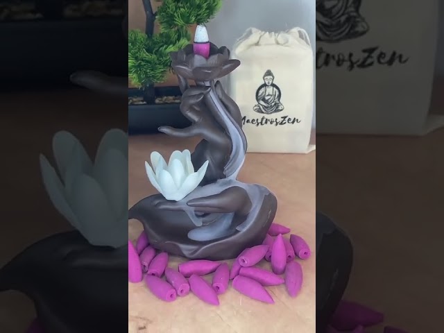 Vídeo relacionado con 120 varitas de Incienso de (White Rose) Rosa Blanca Rosaceae Genus Rosa varitas de Incienso de Joss 120 Varillas de Incienso de Fragancia casera de Joss Sticks con cenicero colector de Cenizas