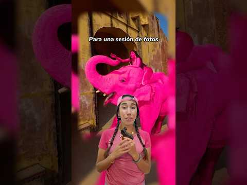 Una historia muy triste! 😭 🐘 #marcelarecicladora