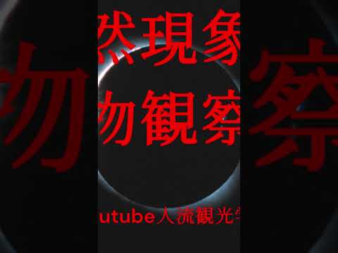 観光政策学科 2025年4月24日
