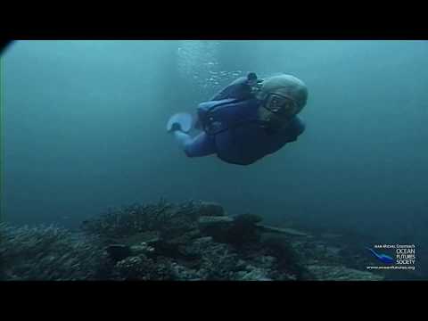 SeaScope 17 - Reef Killers