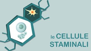 Le cellule staminali - progetto Alternanza Scuola Lavoro