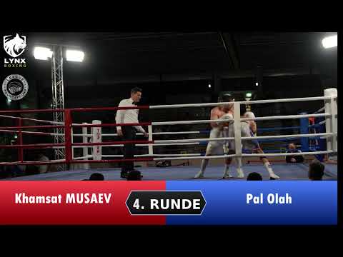 Profiboxen Kampf 16 Musaev vs Olah