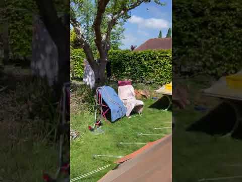 De Waard Albatros (rd) 140522