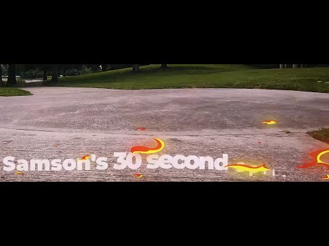 The Fastest Dog Alive - Most Adorable Dog - Samson in Fast Forward -  Then Takes a Walk.