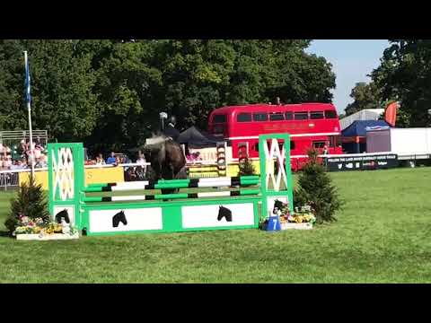 'Cooley Now or Never'