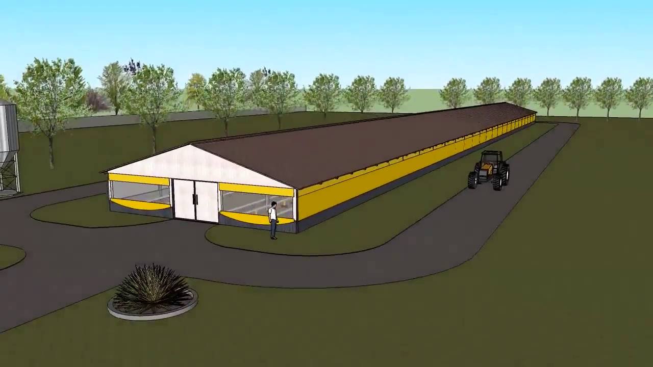 Passeio virtual por aviário pressão negativa