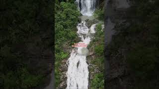Download lagu August is loading… #waterfall #shorts mp3 Download lagu August is loading… #waterfall #shorts mp3