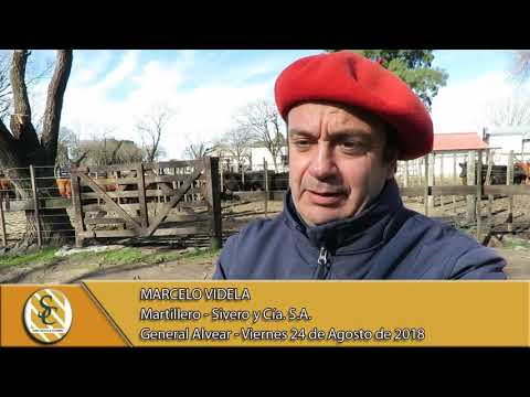 24-08-18 Nota Marcelo Videla - Martillero - Sivero y Cía. S.A. - General Alvear
