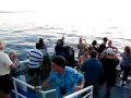 Marty Dread Reggae on the Water