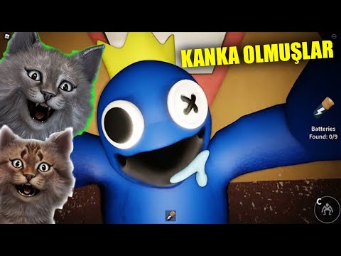 Gaffur Abi Mavi Oyuncakla İş Birliği Yaptı 😱😱😱 - Rainbow Friends Roblox