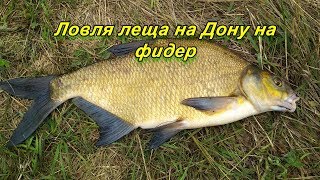 Ссылка