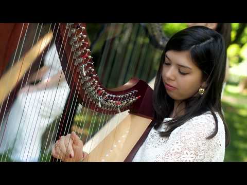 LYRAE - Ensemble di arpe celtiche - NUVOLE BIANCHE - Einaudi Video