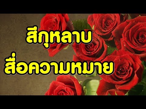 เพิ่มขึ้นในการฝึกอบรมสมาชิก ซึ่งช่วยเพิ่มความแข็งแรง