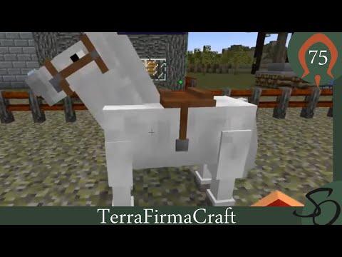 TerraFirmaCraft - E75: Horses