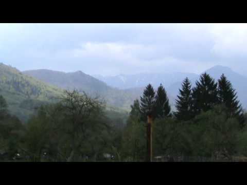 Cazare in Bran la Casa Serena - Gulas