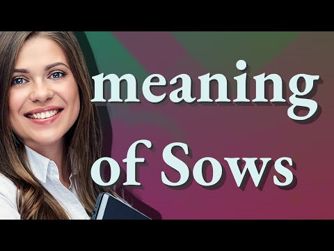 Sows | meaning of Sows