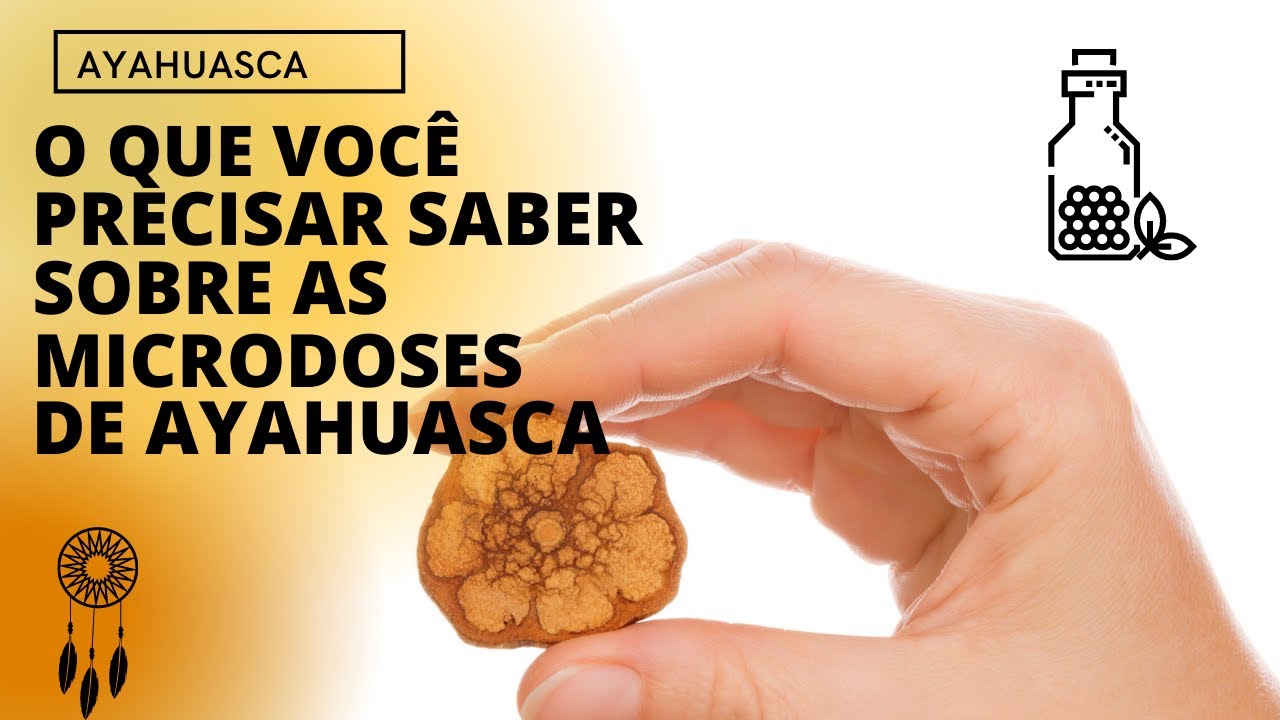 Microdoses de Ayahuasca: O que é importante você saber
