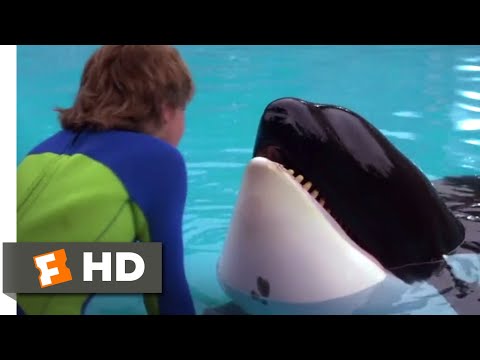 フリー・ウィリー (1993) - ガラスのシーンを打つ (7/10) ｜Movieclips (Free Willy (1993) - Hitting the Glass Scene (7/10) | Movieclips)