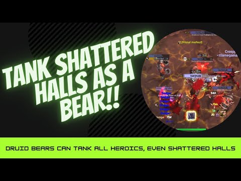 Shattered Halls Heroic - Bear PoV - TBC Classic