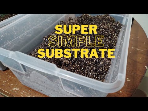 Easy Bulk Substrate How to Make Coco Coir Vermiculite Soil to Grow Mushrooms | Home Mycology