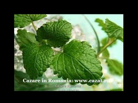 Cazare Ghiorac, Bihor - Cazat.ro