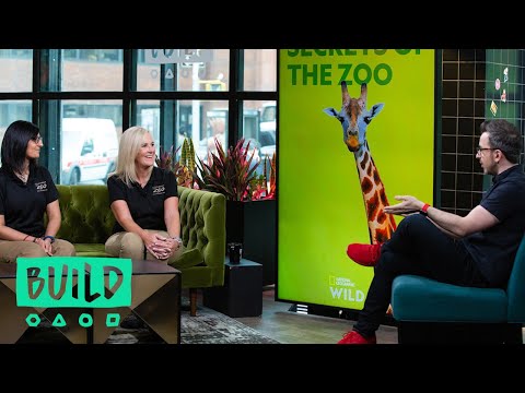 download lagu mp3 mp4 Suzi Rapp, download lagu Suzi Rapp gratis, unduh video klip Suzi Rapp