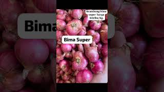 Download lagu SIAP KIRIM COD KEMANA SAJA GRATIS ONGKIR BUMIAYU SETIAP JAM 8-9 PAGI. Silahkan wa: 0852 2914 4245 mp3