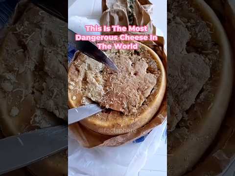 The Most Dangerous Cheese in The World! #shorts