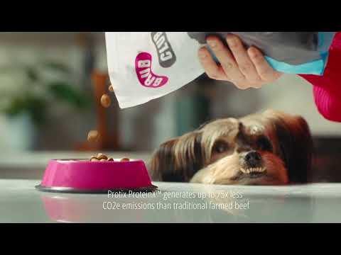 GRUB CLUB - DOG FOOD WITH PURPOSE - SKY TV CAMPAIGN