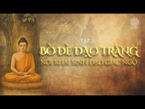 TỪ SIDDHARTHA ĐẾN ĐỨC PHẬT HÀNH TRÌNH GIÁC NGỘ | T3: BỒ ĐỀ ĐẠO TRÀNG - NƠI KHAI SINH ĐẠO GIÁC NGỘ