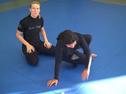Yellow Belt  Basic Grappling Positions