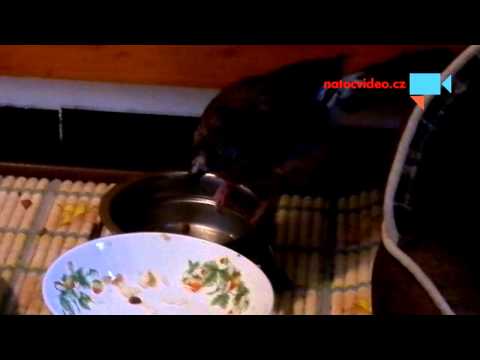 Tak a te´d už to mám vše jen pro sebe!