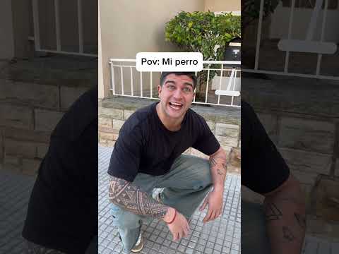 Mi perro piensa asi😅