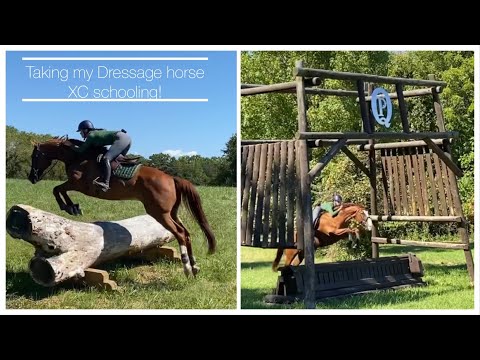 Taking my UPPER LEVEL DRESSAGE horse XC schooling || XC schooling VLOG